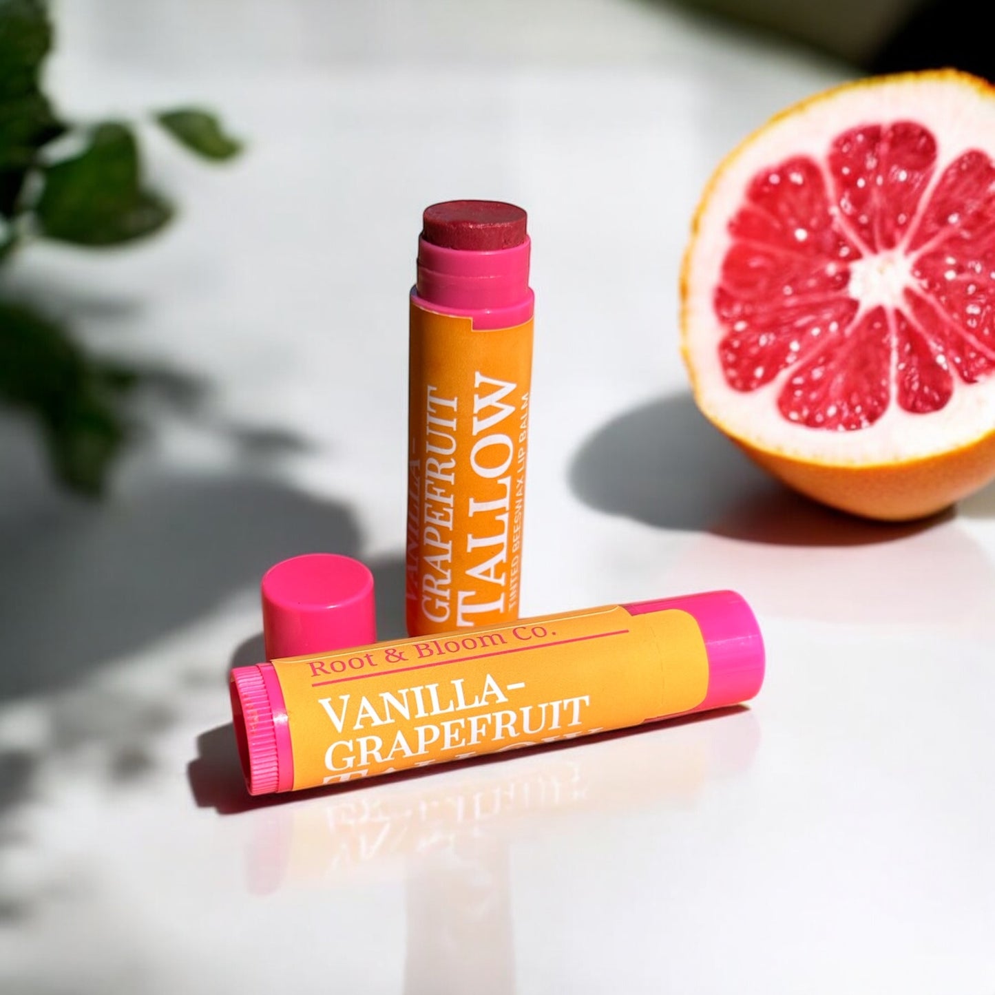 Grapefruit Tinted Tallow Lip Balm